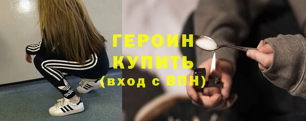 индика Мегион