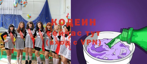 индика Мегион