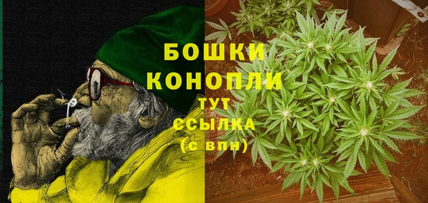 индика Киров