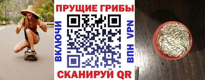 Галлюциногенные грибы Cubensis  дарк нет клад  Щучье  купить наркотик 