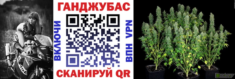 Марихуана Amnesia  где продают наркотики  Щучье 
